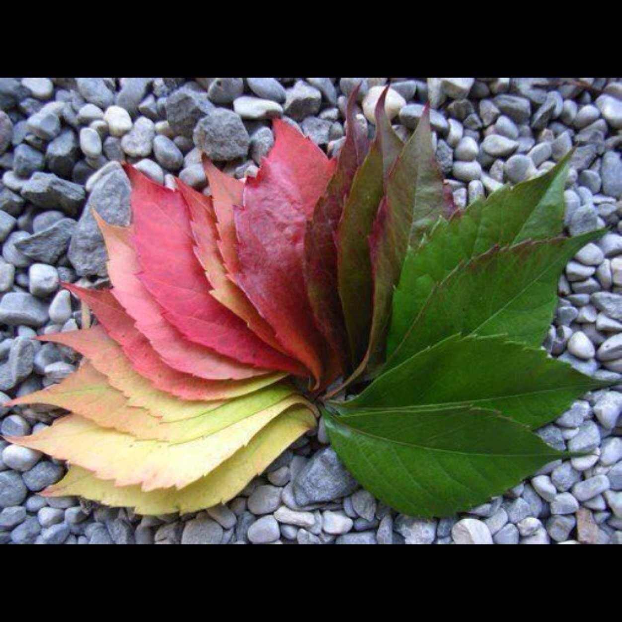 kbksb's profile picture. Saskatchewan Canada 🇨🇦