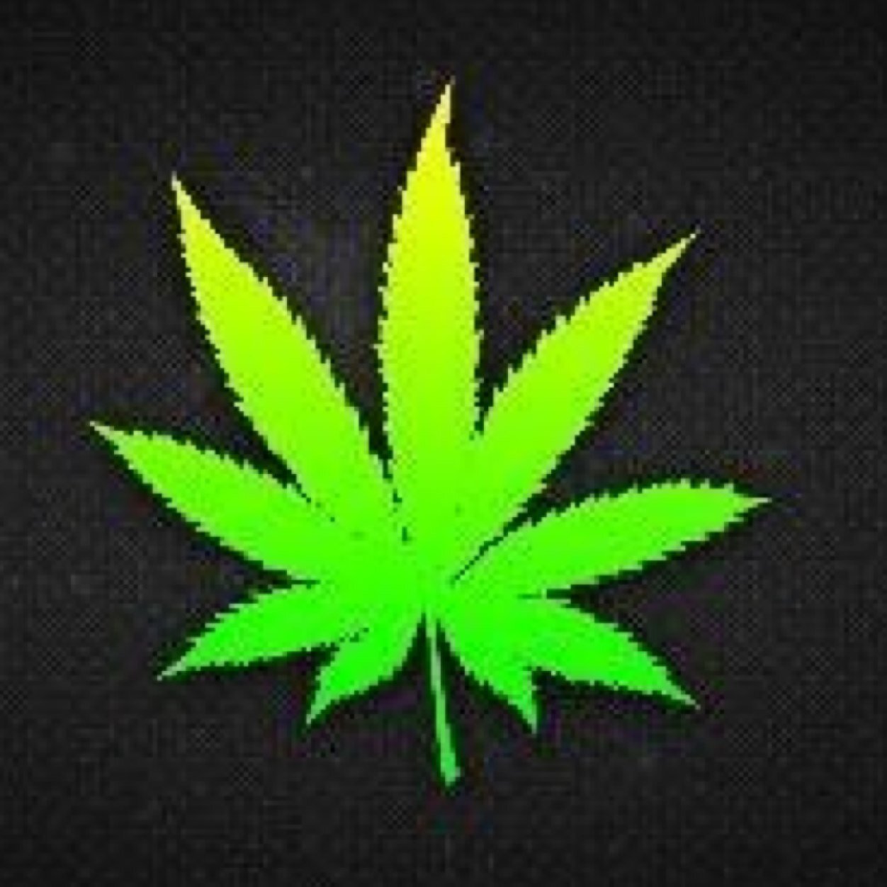 The #1 Official Stoner Confessions. Every Stoner, Everywhere. Submit Yours Anonymously. | Business Only: theartofmoney27@gmail.com Kik:socialmediaempire