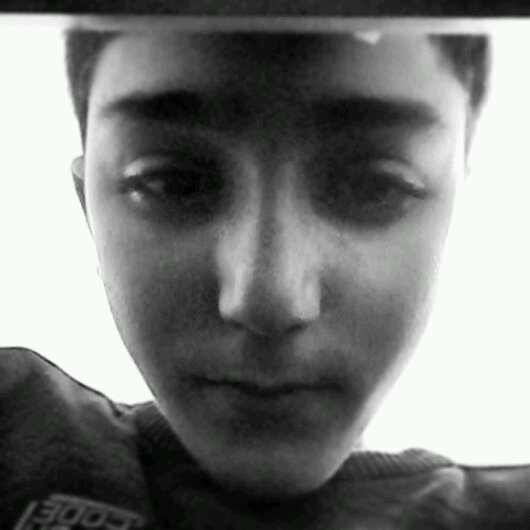 wssa