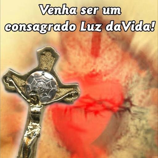 Comunidade Católica de evangelização. Um carisma a serviço da Igreja. Ungidos por Jesus para ser Luz, Luz da Vida!