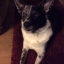 Patsy Allen - @peallen01 - Twitter