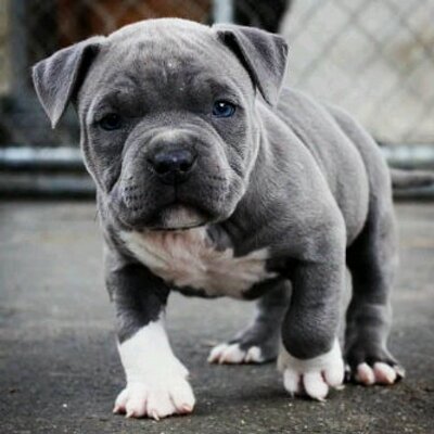 Profile Picture of :E*DE*ҠYĿ♡:E (@rousseau_kyle) on Twitter