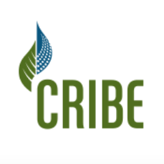 CRIBE_Biomass Profile Picture