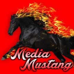 When you need Computer graphics, logo designs, printed media, photography...We get it done with SPEED!
