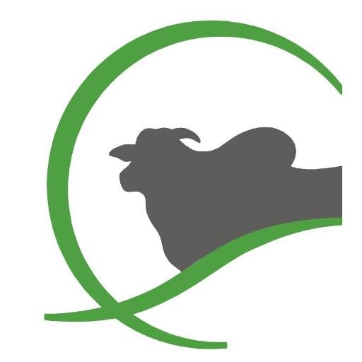 URTT EMBRAPA com projeto de ILPF com foco principal em animais Nelore PO com rigorosa seleção genetica.
Venda permanente de tourinhos