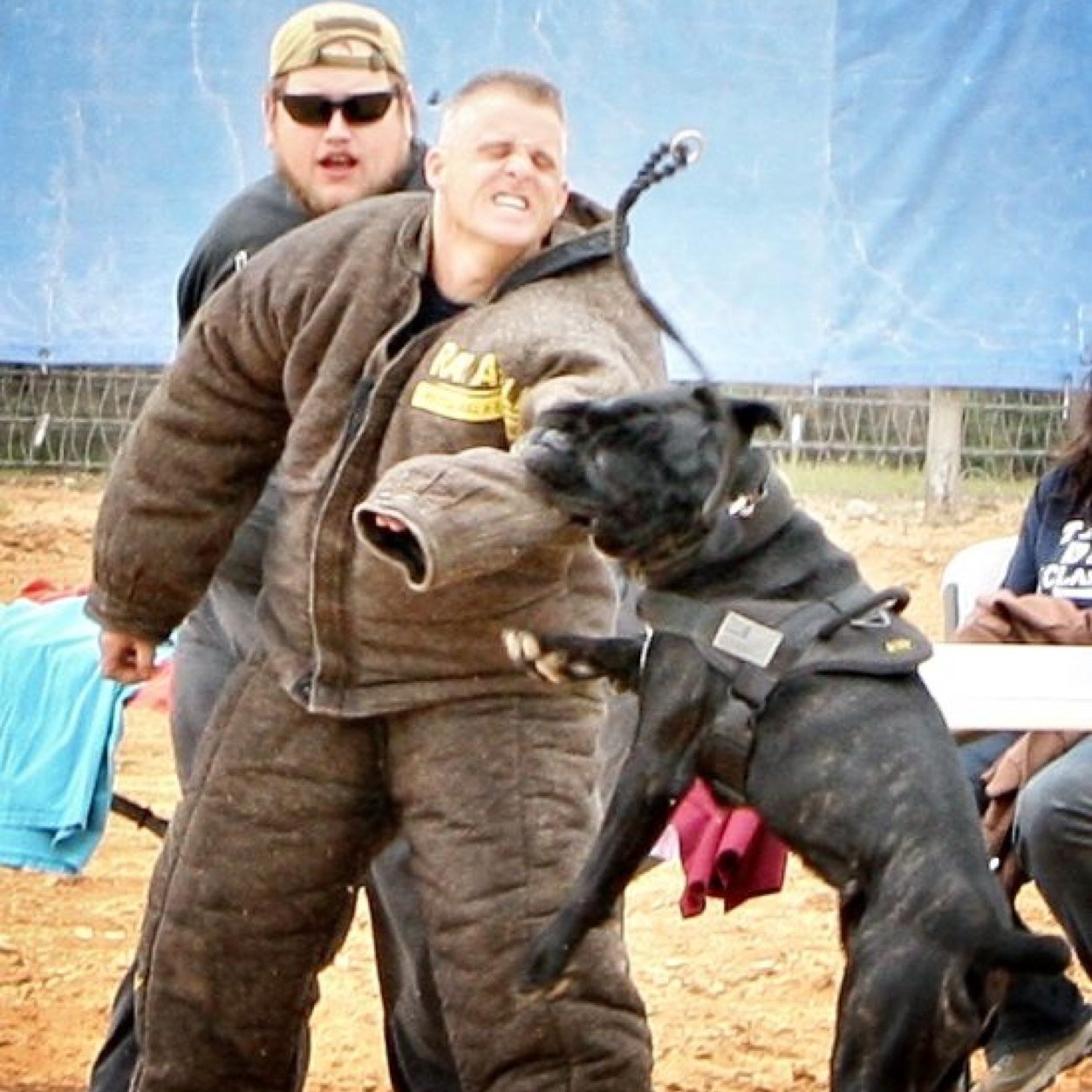 CodeMA's profile picture. Just a 20's something yr old guy making his mark on the world. Raised in small town Texas, avid gamer, working dog trainer, shooter:NOT politically correct.