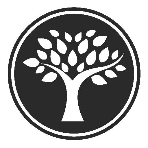 Fort Wayne Trees provides the largest tree selection in Fort Wayne Indiana area.  Our motto is, Big Trees, Tiny Price.  We have all kinds of trees for sale