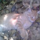 abel cardenas - @abelcardenas1 - Twitter