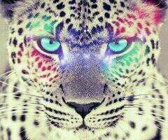 Actua,no pienses.