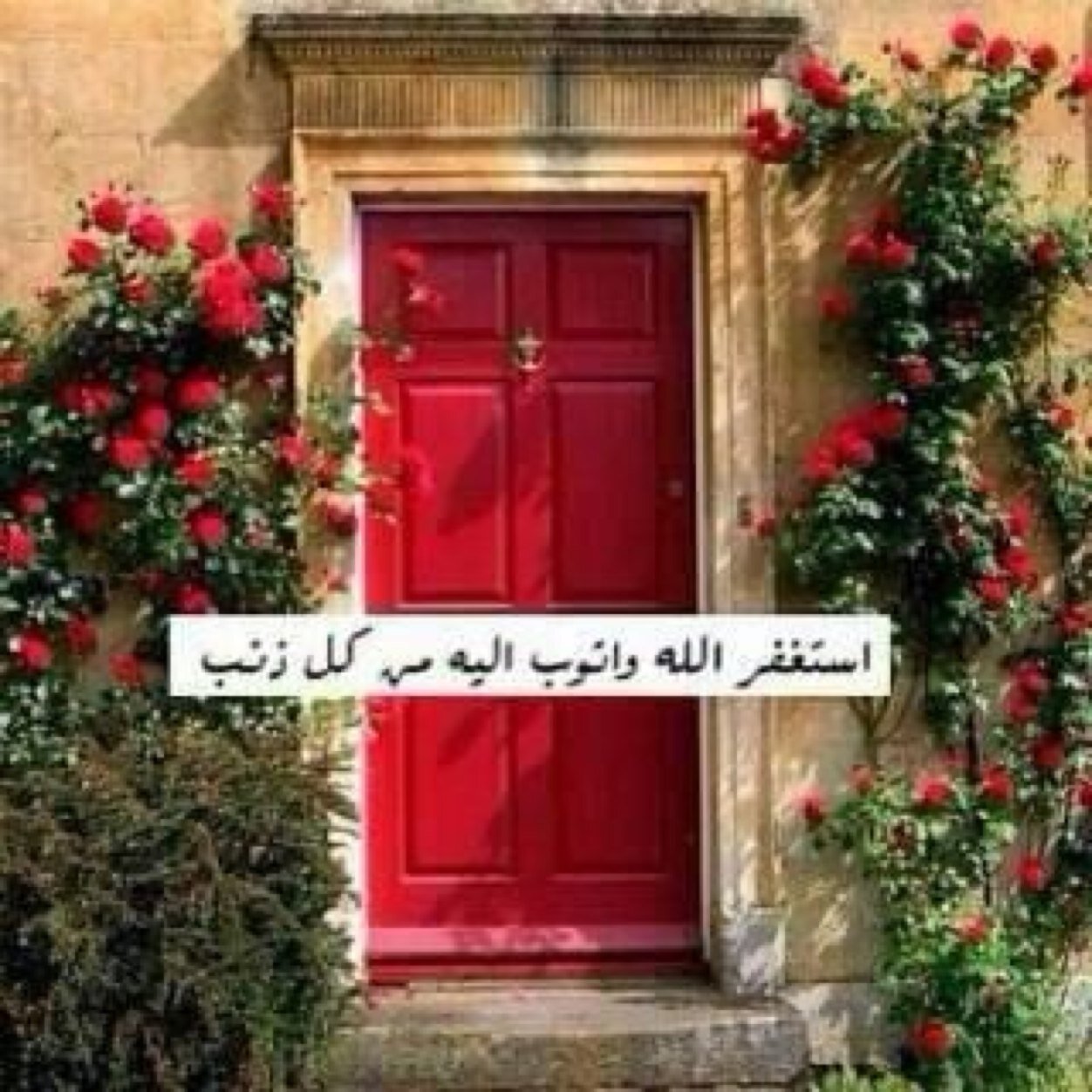 أشد الأعمال ثلاثة: الجود من قلة، والورع في خلوة، وكلمة الحق عند من يُرجى ويُخاف .. الشافعي