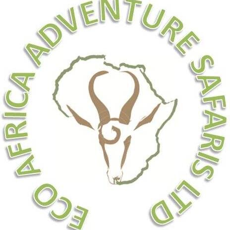 ecoafricatours's profile picture. Eco Africa Adventure Safaris Ltd- your gateway to the beauty of Africa adventure travel in the most and untouchable parts of Eastern & Southern Africa! Karibu