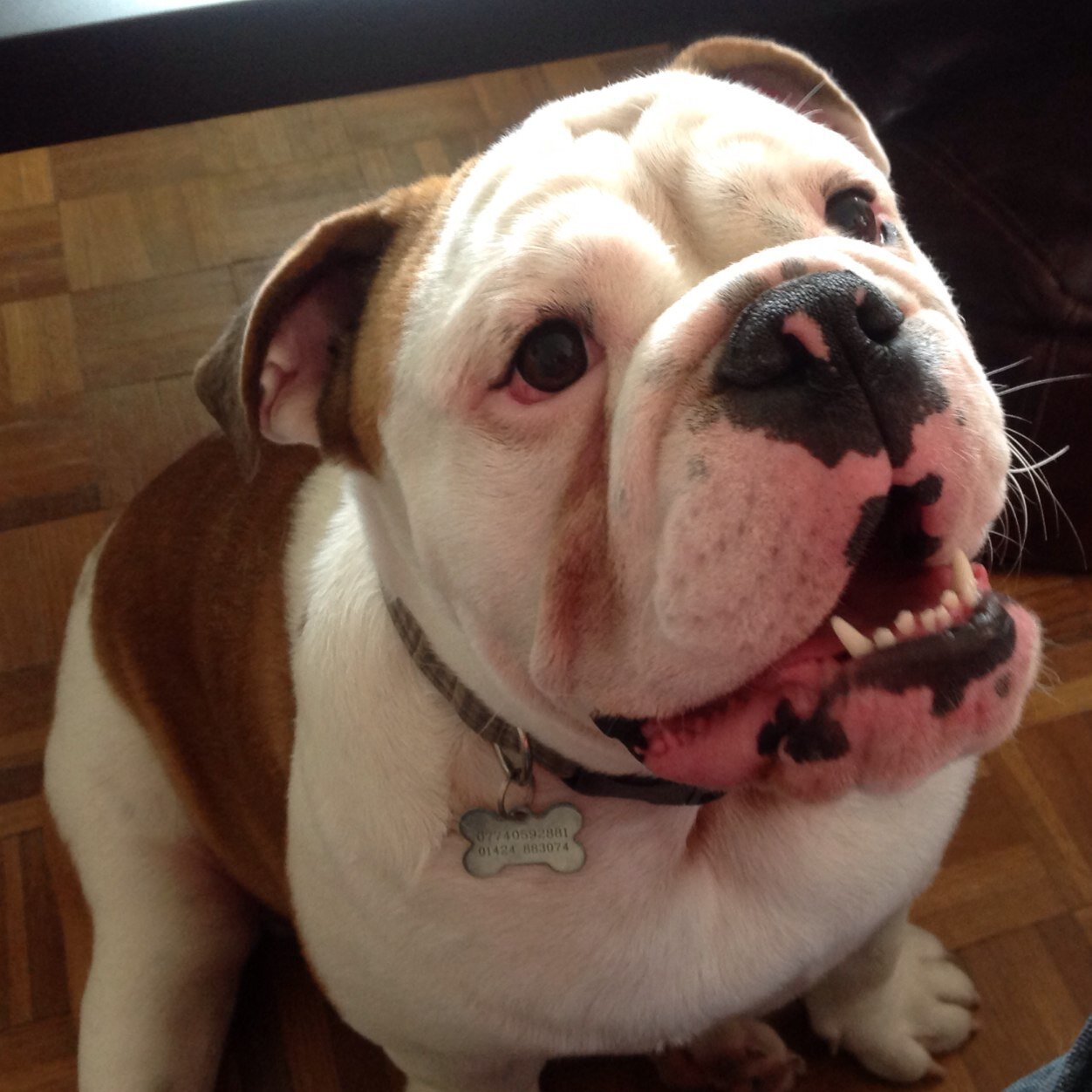 FayeFayebiggs's profile picture. 