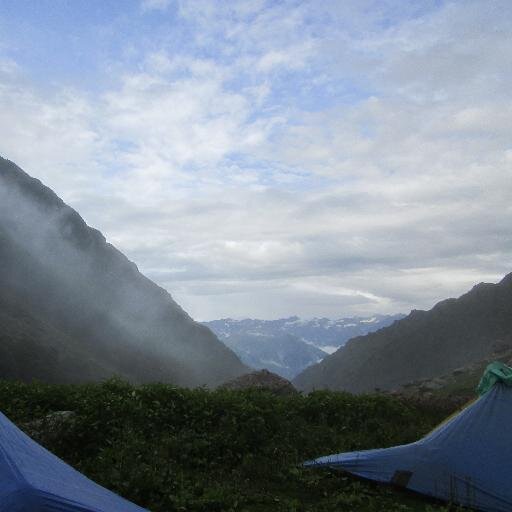 thedailycastle's profile picture. 