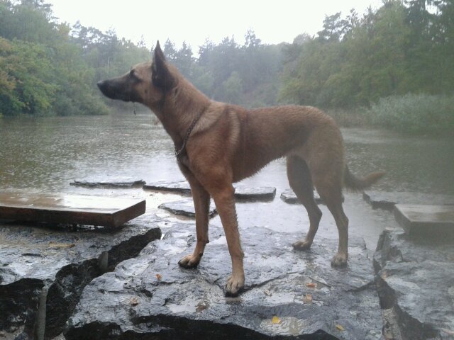 selspeter's profile picture. 