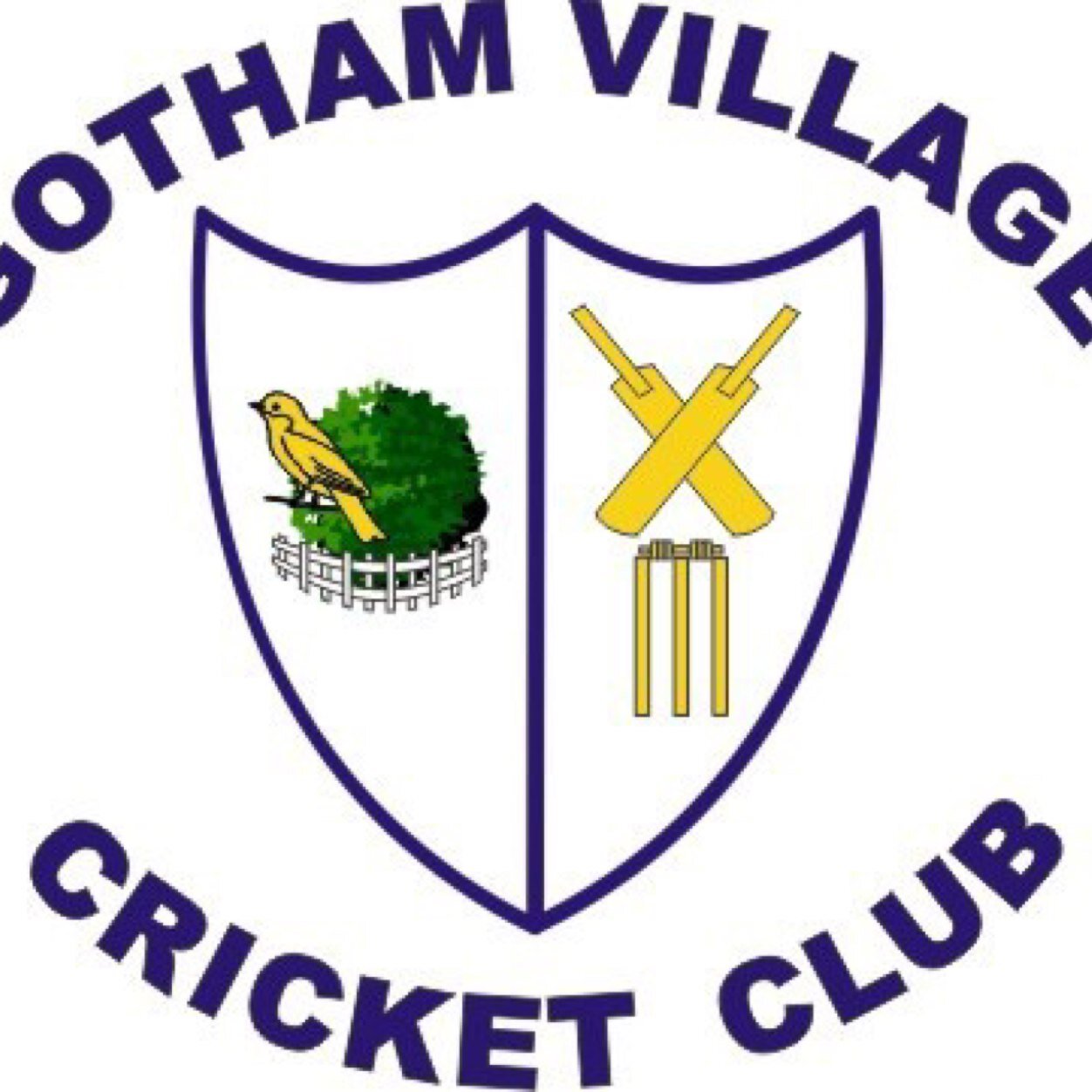 Official Twitter account for Gotham Village Cricket Club. Playing in the South Notts Cricket League. https://t.co/8VkXD85LW1