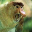 Juan José Masso - @elmason886 - Twitter