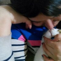 Meltem Akbulut (@mmakbulut) Twitter profile photo