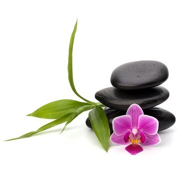 Wellness Gap is an agency that provides quality home based health care services for children, adults and seniors. http://t.co/IWaIeiwUbQ