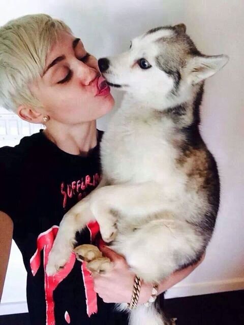 Today Is A Very Strong Days Of Our Idola @MileyCyrus Now Hise Twitter I Like This One Smilers The Support Everything You Love Miley Cyrus #AnimoMiley:)