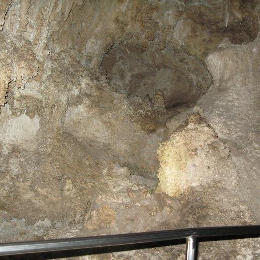 thomasjohncatt's profile picture. 