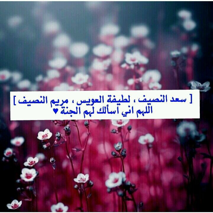 لاني احبهم واريد معهم الجنه جعلت هذا الحساب صدقة لهم ♥ ،[سعد عبدالرحمن النصيف و مريم سعد النصيف ولطيفه احمد العويس]