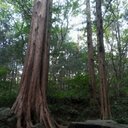 소연 - @Ellena_Park - Twitter