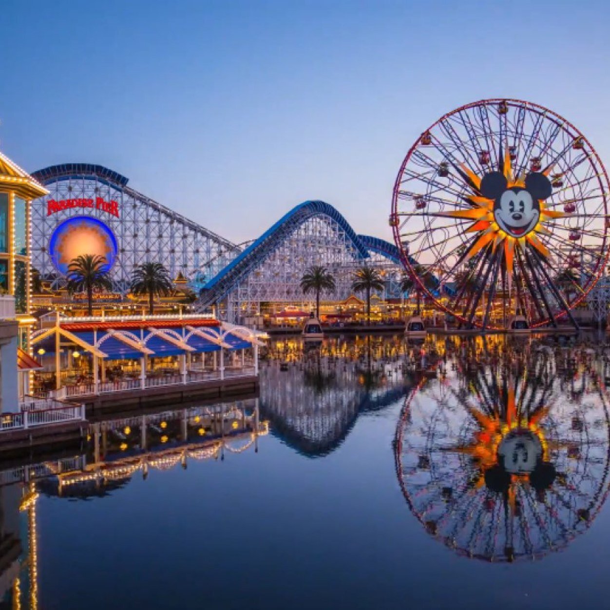 Disneyland_Ca's profile picture. 