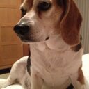 Patricia Cheyne - @cheyne_patricia - Twitter