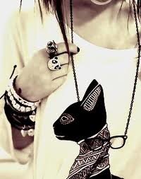 alphanumeric5's profile picture. 