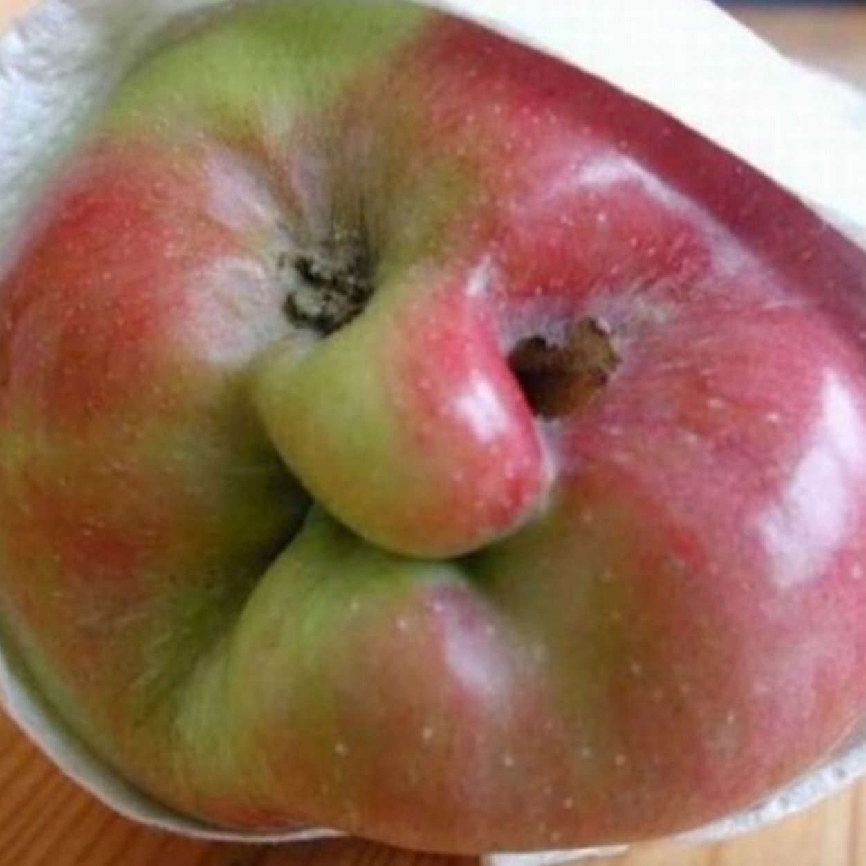 Dicky Schnapples. Dwarf who hides apples. Occupation: Legend. Height: Yes please. Current Location: You'll find out. Interests: Fruit Relocation.