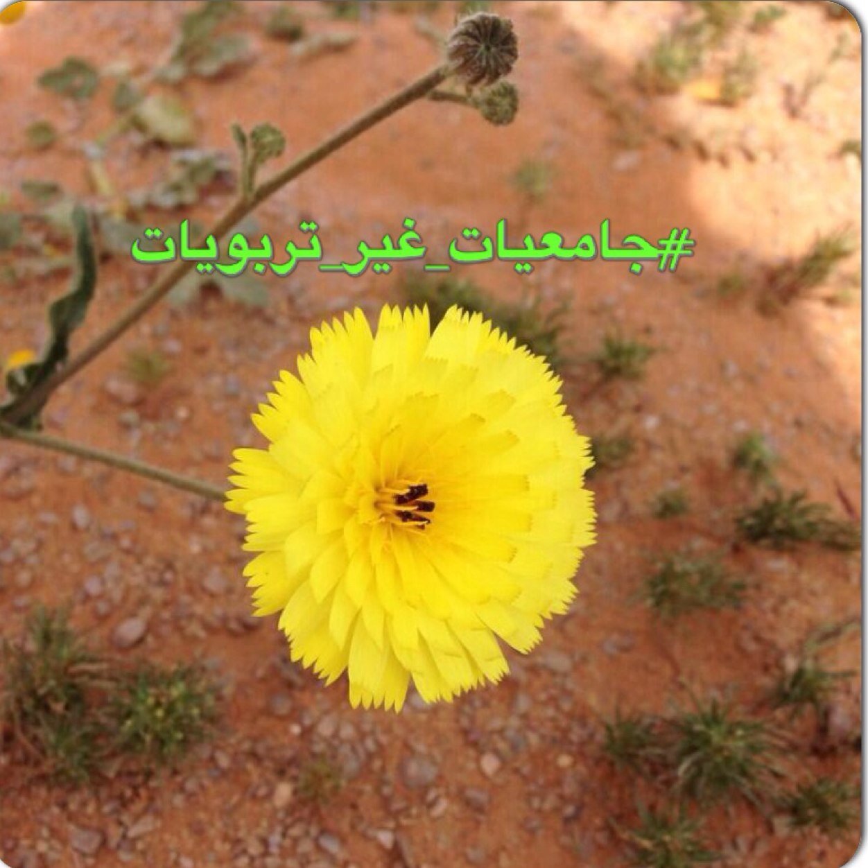 💐
