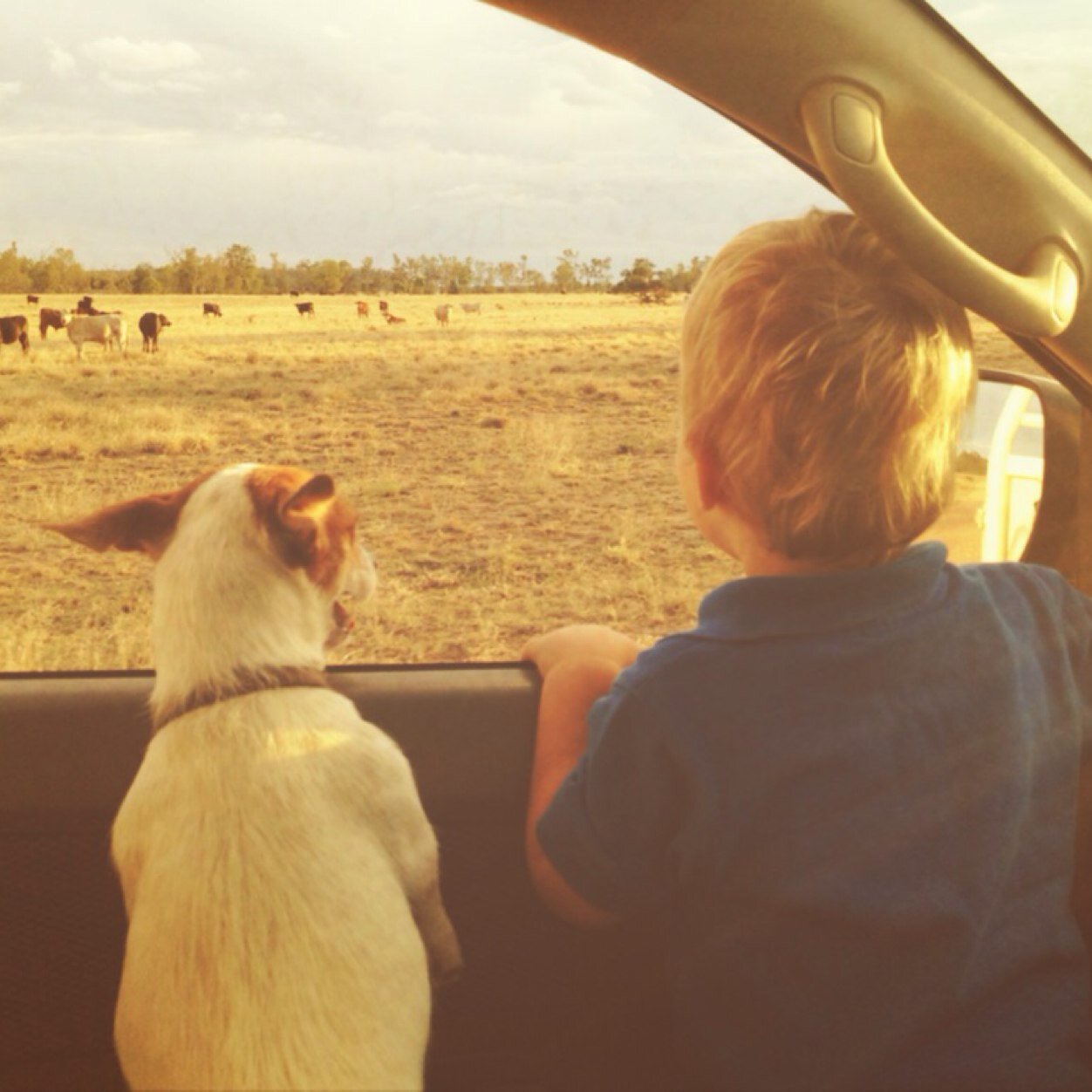 Beef producer from Southern Queensland