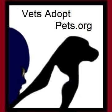 Thanking Veterans for your service with Gentleness ~ Humor ~ Love & Respect
