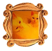 Doçura DocDoc & David Bowie - Gatos- Gêmeos - Librianos    ]:-)    (-:[
