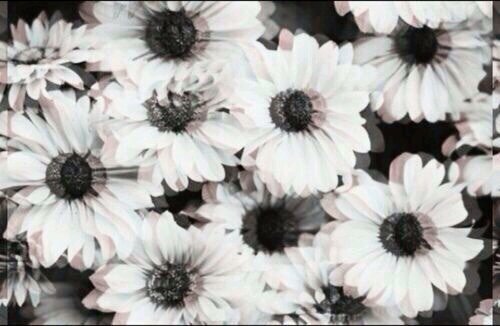 sorry i cannot care // days clean: 2