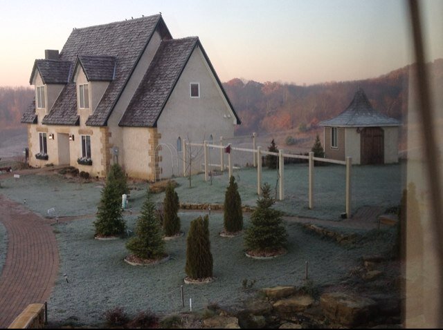 CottageWinery's profile picture. 