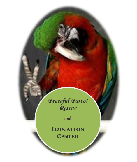 A rescue and informational resource focusing on the well-being and proper care  of every type of feathered friend!