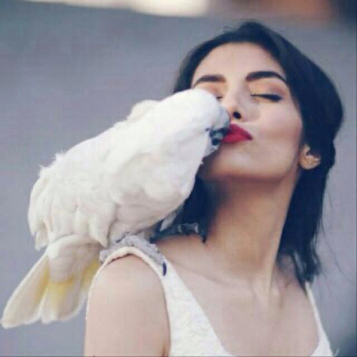 Only for retweet + follow back
لو عايز ريتويت اعمل العدد اللي انت عايزه و عرفنا و هنعملك زيه