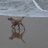 paparrosolla's profile image