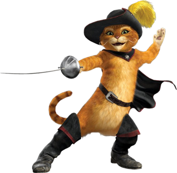 ChatduCapitole's profile picture. Echos du Capitole