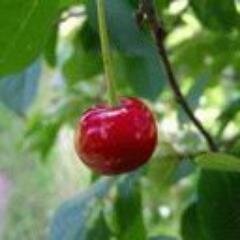 Люблю жизнь во всех ее проявлениях