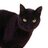 Cat!!!