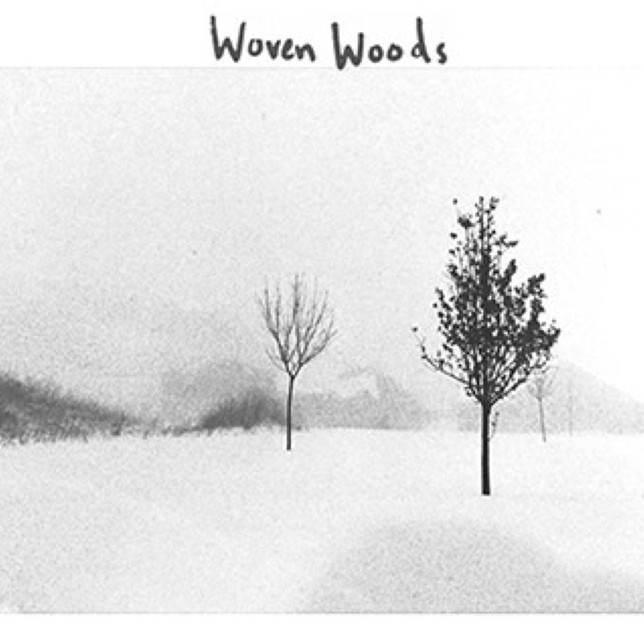 Minneapolis based Indie/Rock/Pop band.