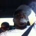 Jason (@jason38154820) Twitter profile photo Jason (@jason38154820) Twitter profile photo