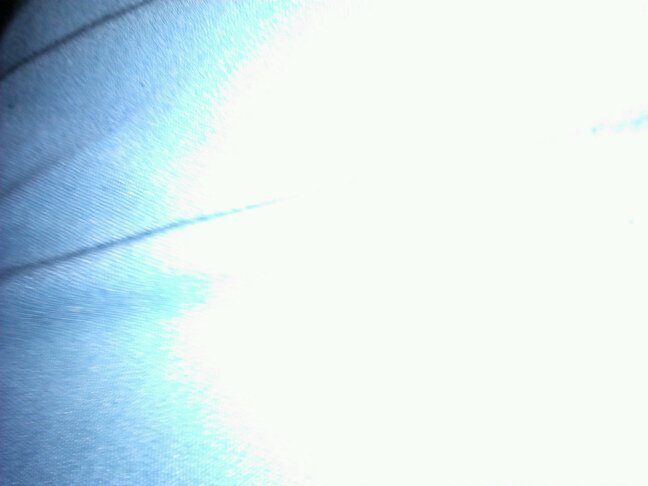 lindsssey54's profile picture. 15 years young.