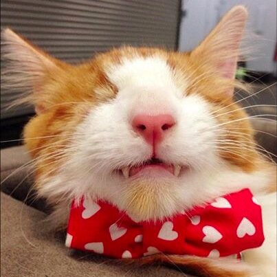 MagicalMurdock's profile picture. Blind Superhero