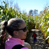 Mrs. MacDonald (@macdonald_ldsb) 's Twitter Profile Photo