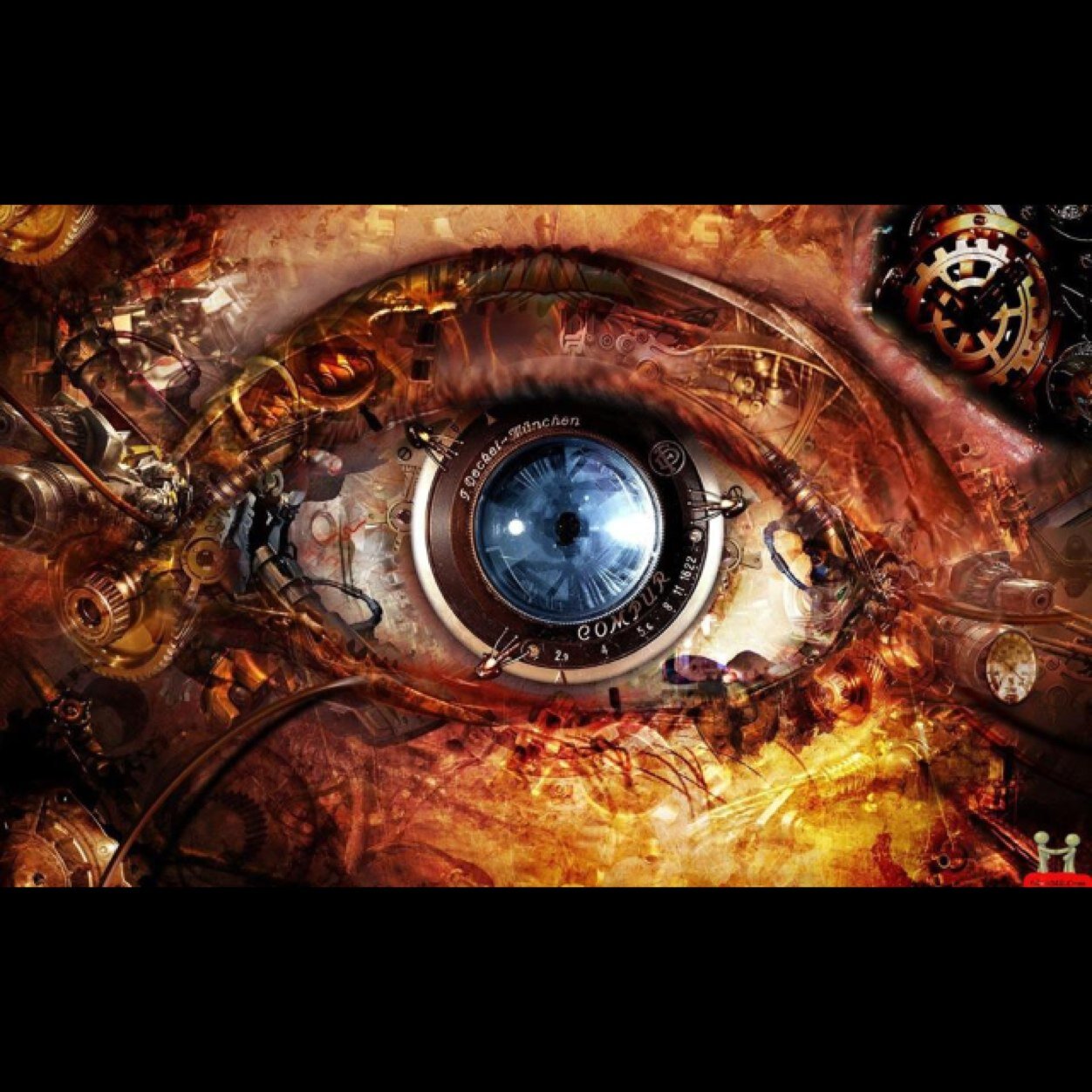 muller282's profile picture. 