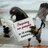 DeidPigeonsPal's profile image