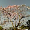 Benjamin Weinberg - @morningcircle - Twitter